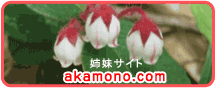 姉妹サイト akamono.com